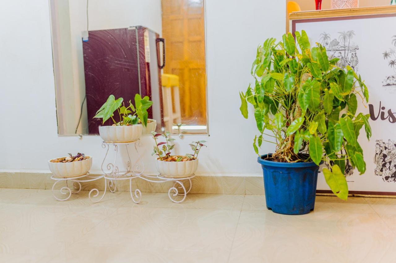 Bed and Breakfast White House In Goa, Truly Amazing Experience Saligao Экстерьер фото